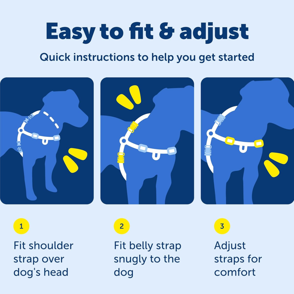 Dog wearing PetSafe no pull dog harness during outdoor walk

