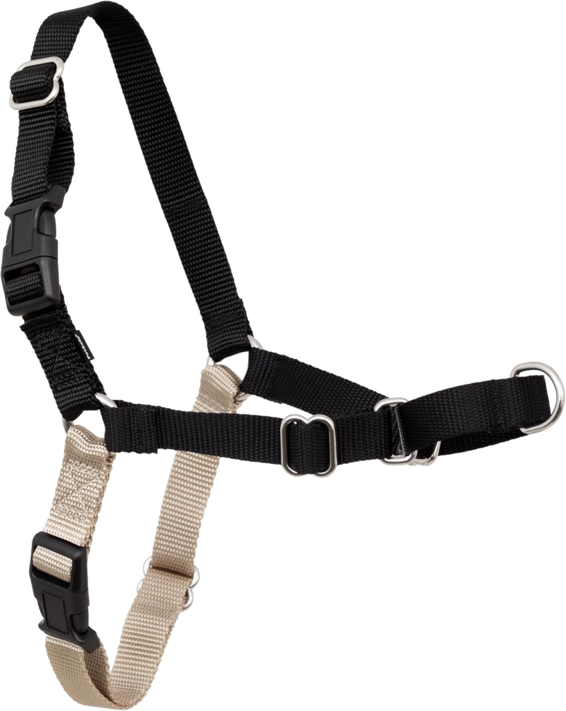 PetSafe dog harness design showing no pull front clip structure

